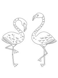 2 flamingó
