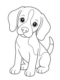 Beagle k&ouml;ly&ouml;k