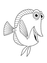 Bubi (Némó nyomában)
