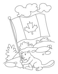 Hód a kanadai zászlót tartja