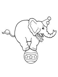 Cirkuszi elefánt egy labdán
