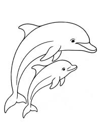 Delfin a kicsinyével