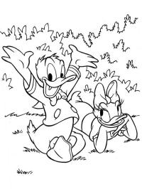 Donald kacsa és Daisy kacsa