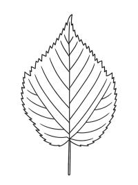 &Eacute;gerfalev&eacute;l