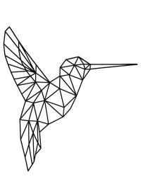 Geometriai kolibri