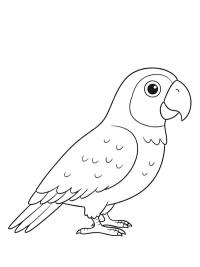 Sz&uuml;rke j&aacute;k&oacute;papag&aacute;j