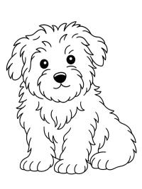 M&aacute;ltai selyemkutya