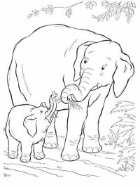 Elefánt és bébi elefánt