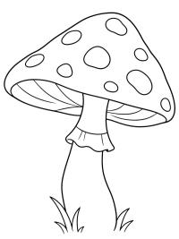 P&ouml;tty&ouml;s gomba
