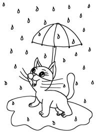 Kiscica az esőben esernyővel