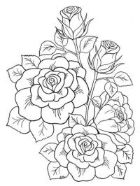 Rózsa Tetoválás