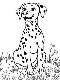 Cuki dalmata