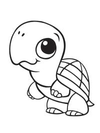 Aranyos teknős