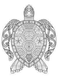 mandala teknős tetoválás