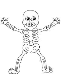 Halloween csontváz (emberi)