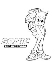 Sonic, a sündisznó