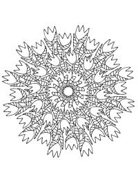 Tulipán mandala