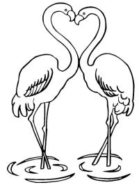 Szerelmes flamingók