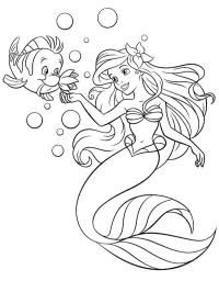 Ficánka a hal és Ariel