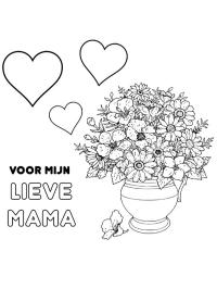 Anyák napjára, holland szöveggel (szeretett anyukámnak)