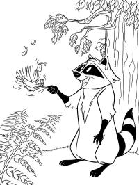 Meeko, a mosómedve és Flit, a kolibri