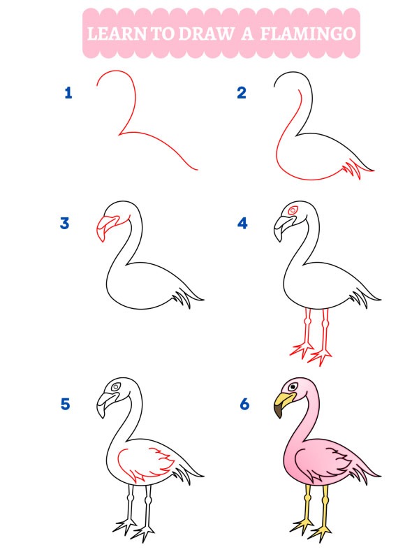 Hogyan rajzoljunk flamingót