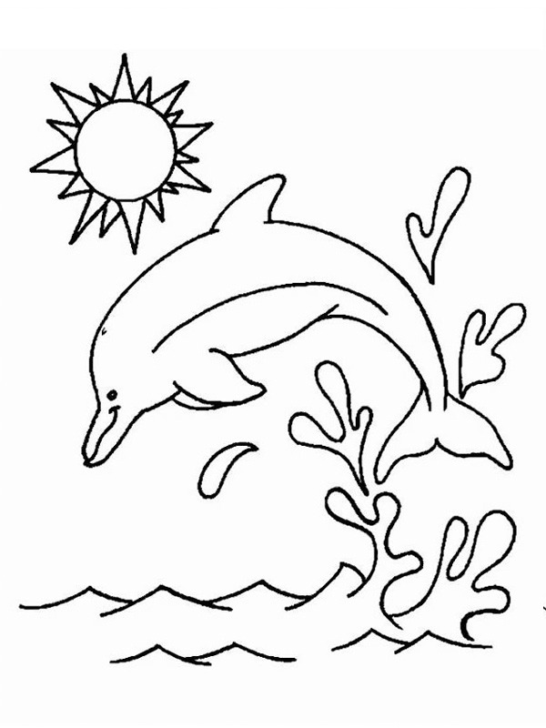 Delfin Kifestő