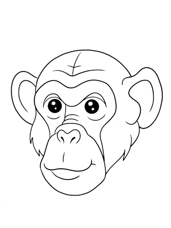 Csimp&aacute;nzarc Kifestő