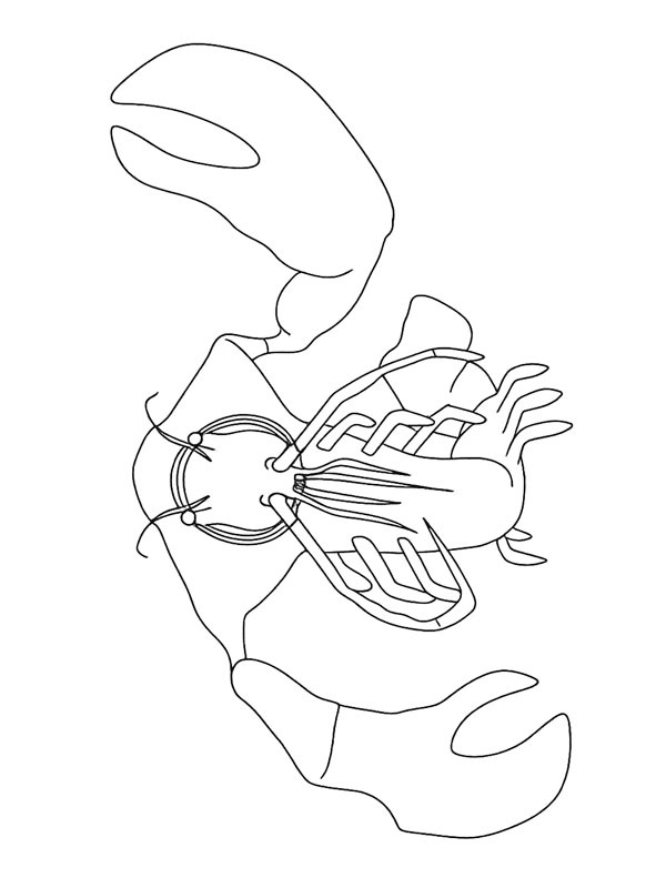 Clawrenzo (Garten of Banban) Kifestő