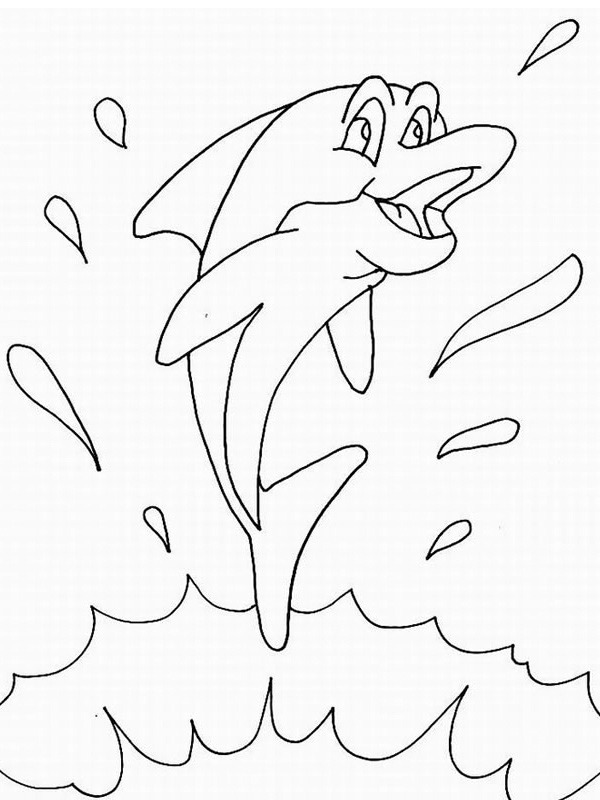 Delfin Kifestő