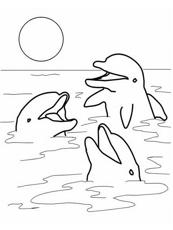 3 delfin a tengerben Kifestő