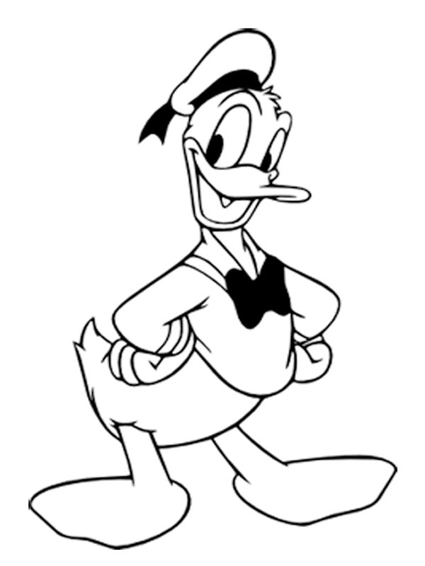 Donald kacsa Kifestő