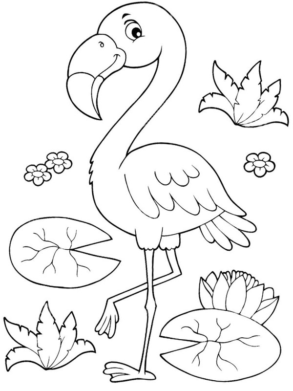 Flamingó Kifestő