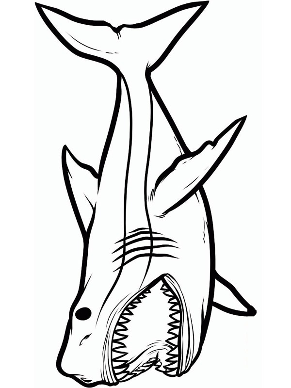 Mérges cápa Kifestő