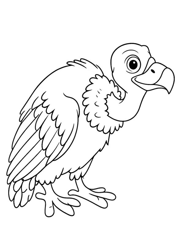 Keselyű Kifestő