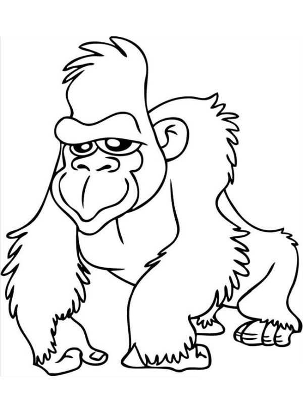 Gorilla Kifestő