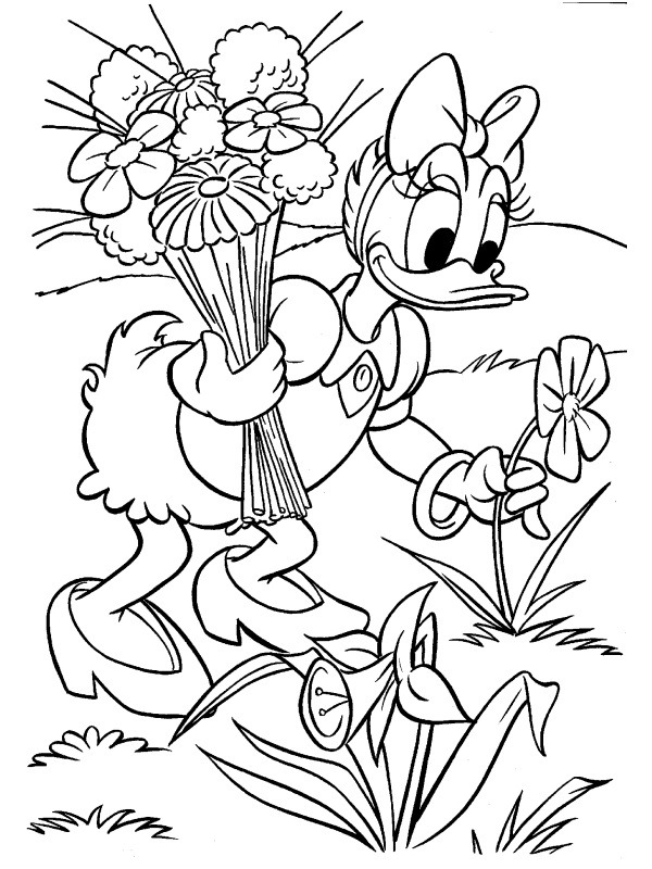 Daisy kacsa virágot szed Kifestő