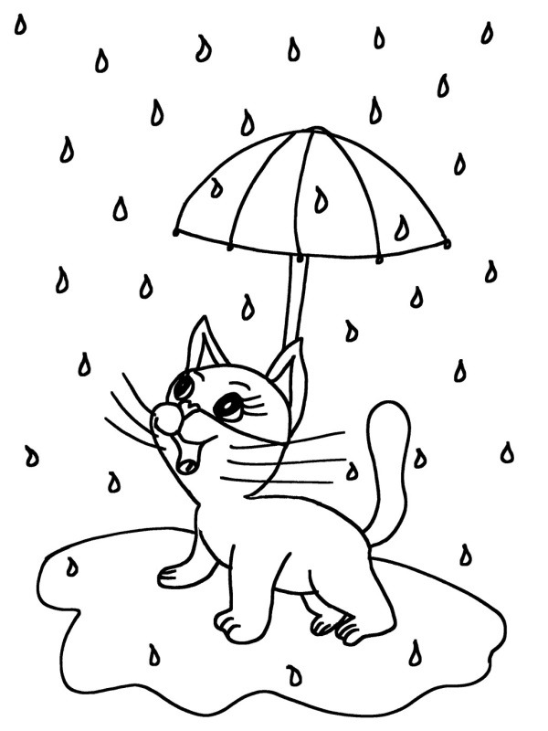 Kiscica az esőben esernyővel Kifestő