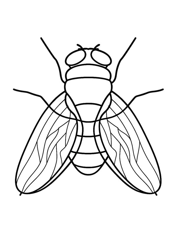 L&eacute;gy Kifestő