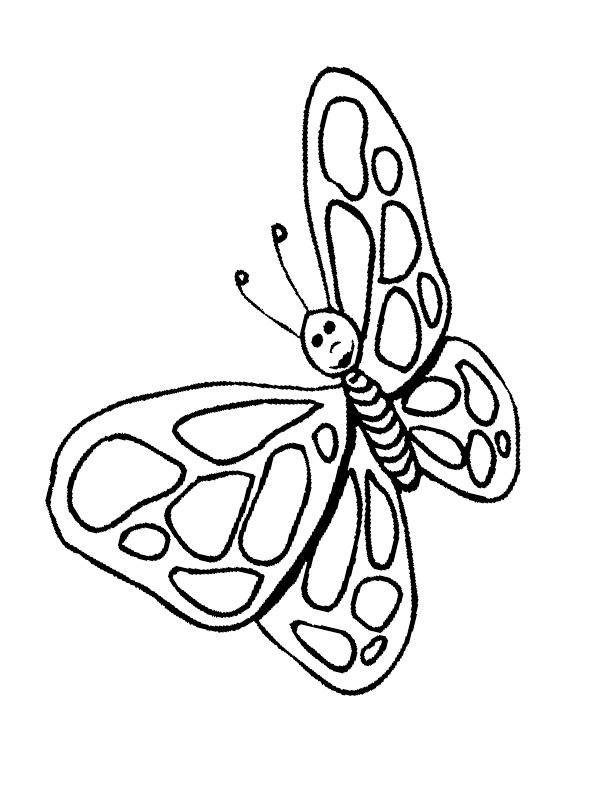 Pillangó Kifestő