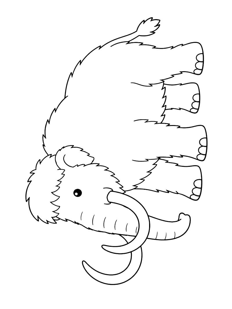 Gyapjas mamut Kifestő